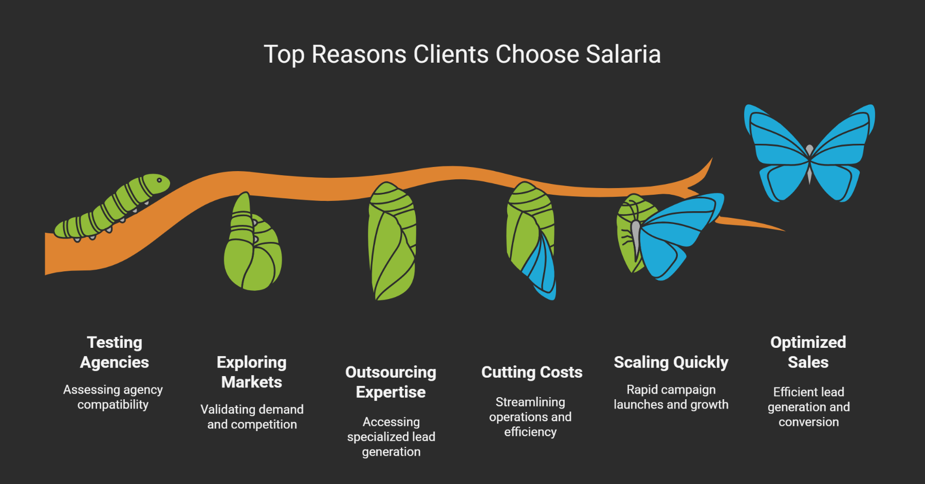 B2B Lead Generation Services: Top Reasons Clients Choose Salaria